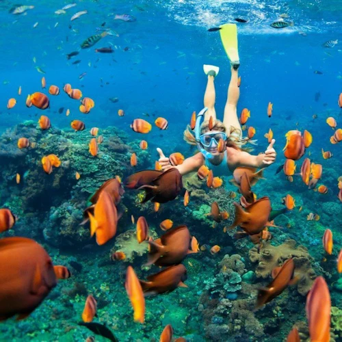 Isla Catalina: excursión de buceo con esnórquel, comida y bebidas desde Punta Cana - Photo 1