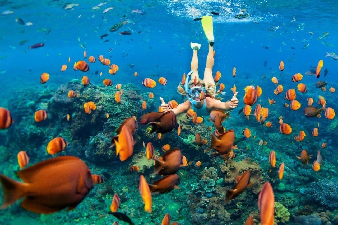 Isla Catalina: excursión de buceo con esnórquel, comida y bebidas desde Punta Cana