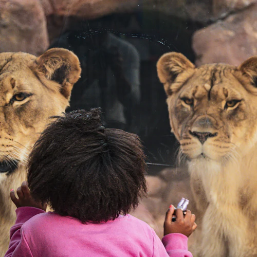 Phoenix Zoo: Entry Ticket - Photo 14
