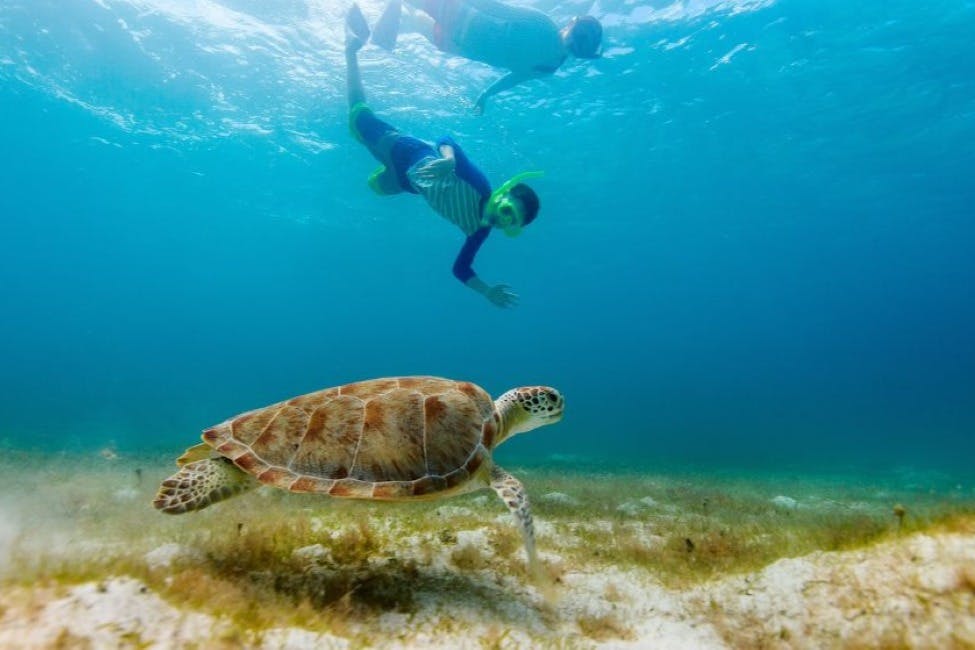 Parque nacional de Sharm El Naga: Visita guiada de um dia a partir de Hurghada + Snorkeling + Almoço - Photo 2