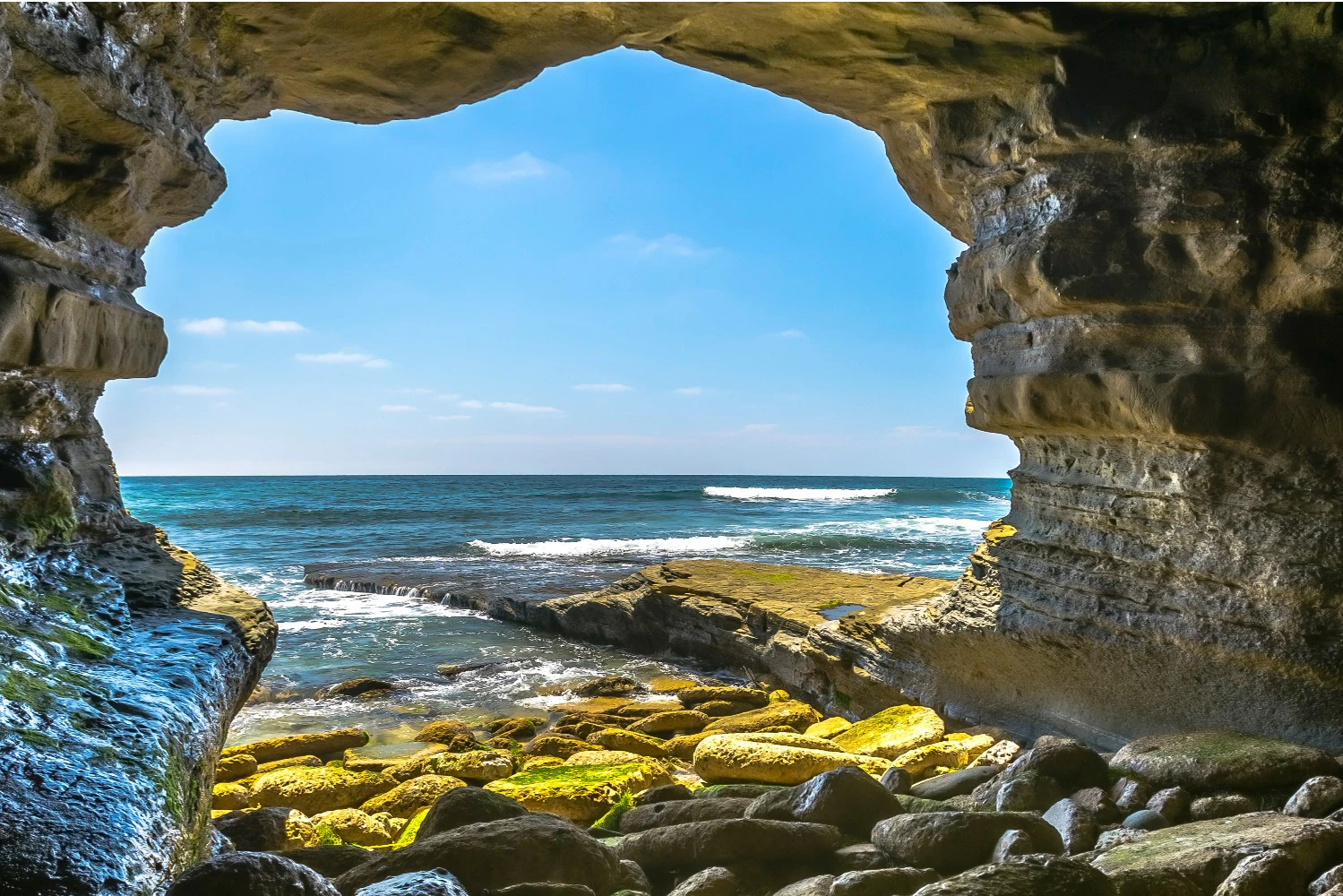La Jolla Cove: Self-Guided Driving Tour