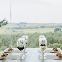 Ett bord med vinglas och matpar mot ett stort fönster som visar en naturskön utsikt över landskapet.