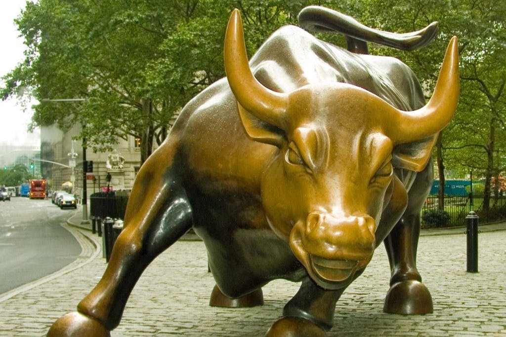 Charging Bull