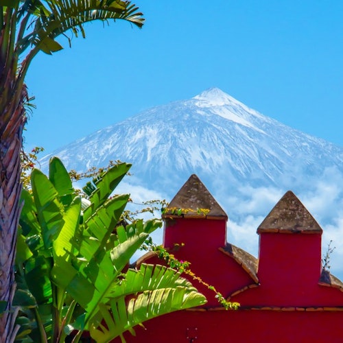 Museo del Vino de Tenerife: Visita y degustación