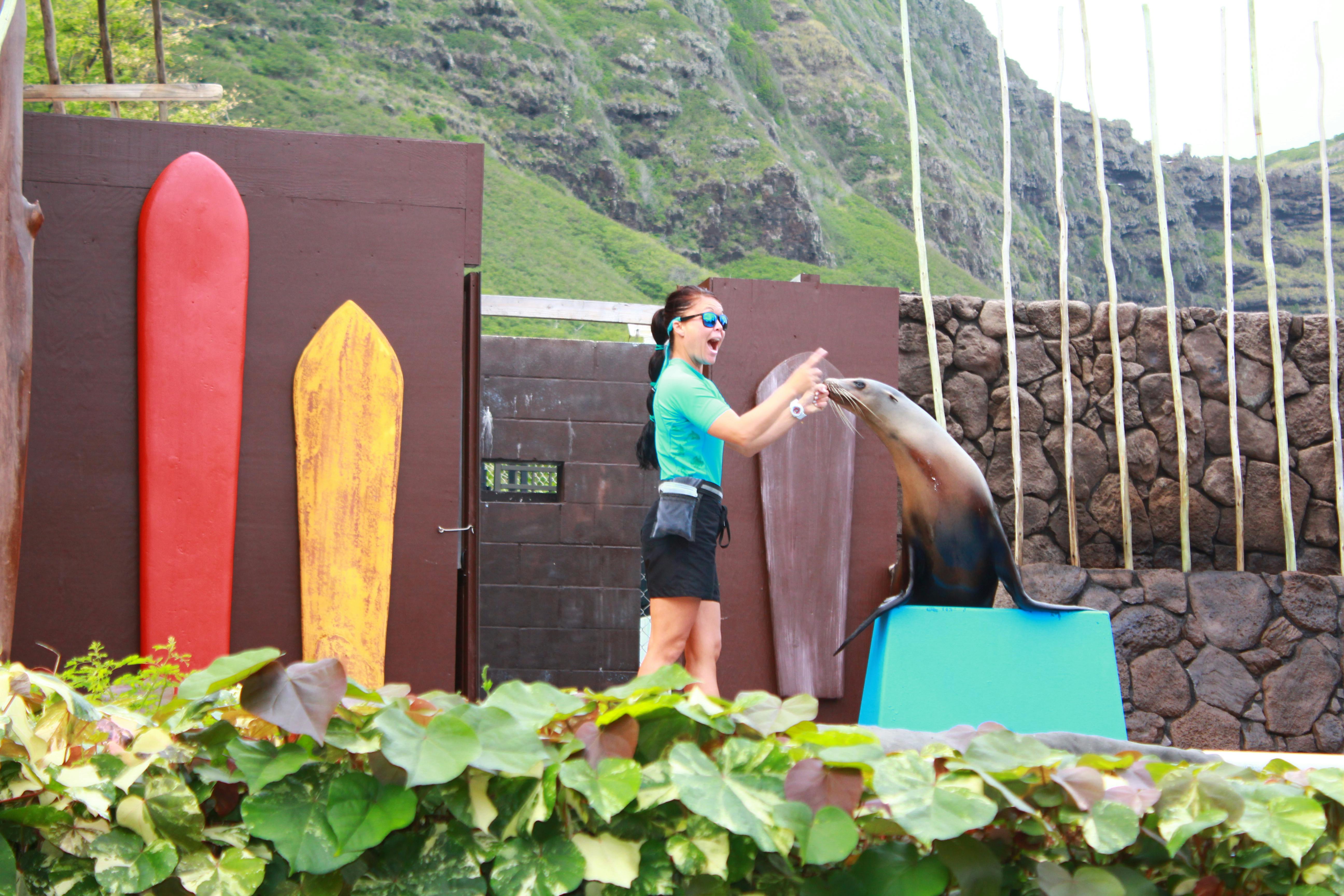 A trainer interacts with a sea lion on a blue platform in a scenic outdoor setting with lush green mountains in the background.