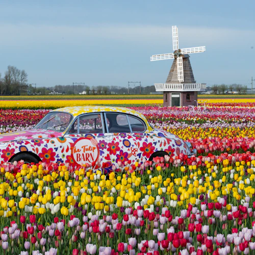 The Tulip Barn: Entry Ticket - Photo 12