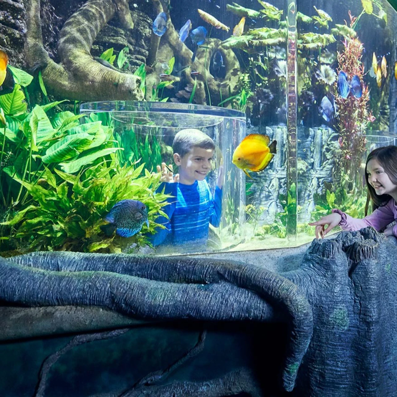 A boy inside a cylindrical glass aquarium enclosure surrounded by fish and plants, with a girl observing from outside.