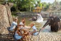 El zoo de Bali para los no indonesios