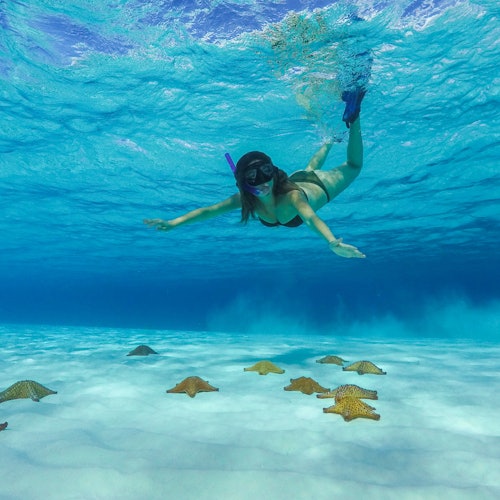 Cozumel: Excursión de snorkel a la Bahía del Cielo y día de playa en Playa Mía