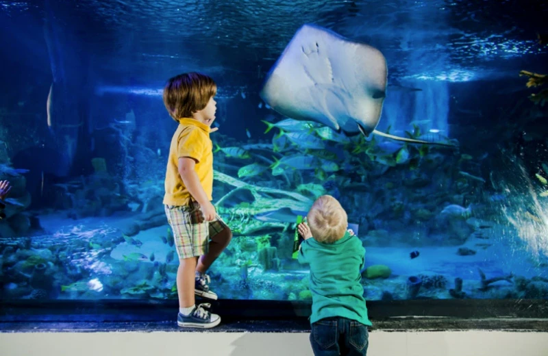 Two children watch a stingray and smaller fish in a large aquarium, with vibrant blue water and ocean-themed scenery.
