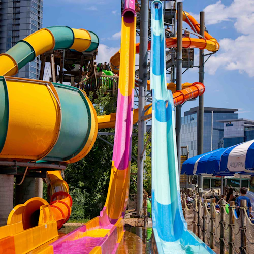 Elitch Gardens Theme & Water Park - Photo 19