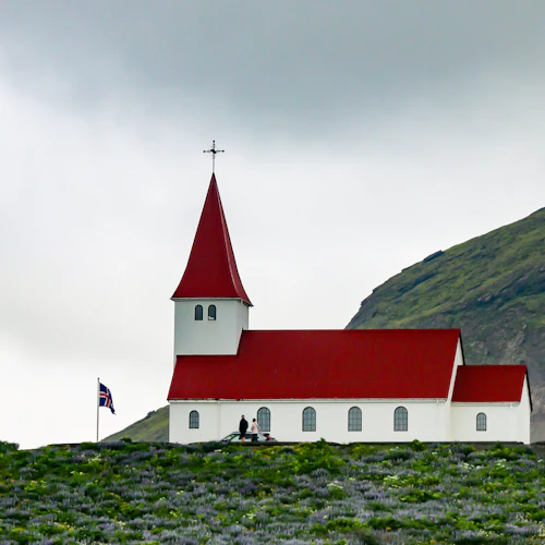 Passeio de barco pela lagoa das geleiras e excursão pela costa sul de Reykjavik - Photo 7