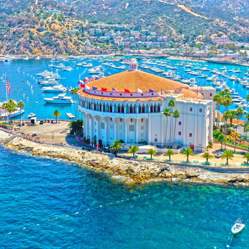 Catalina Island: Day Trip with Zipline Eco Tour - Photo 5