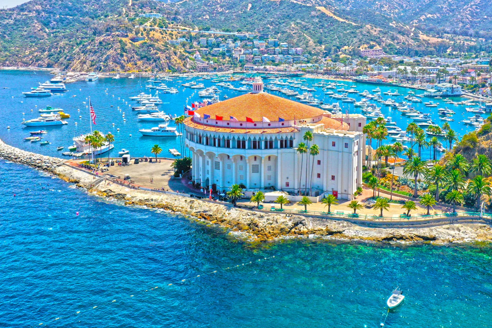 Catalina Island with Zipline Eco Tour