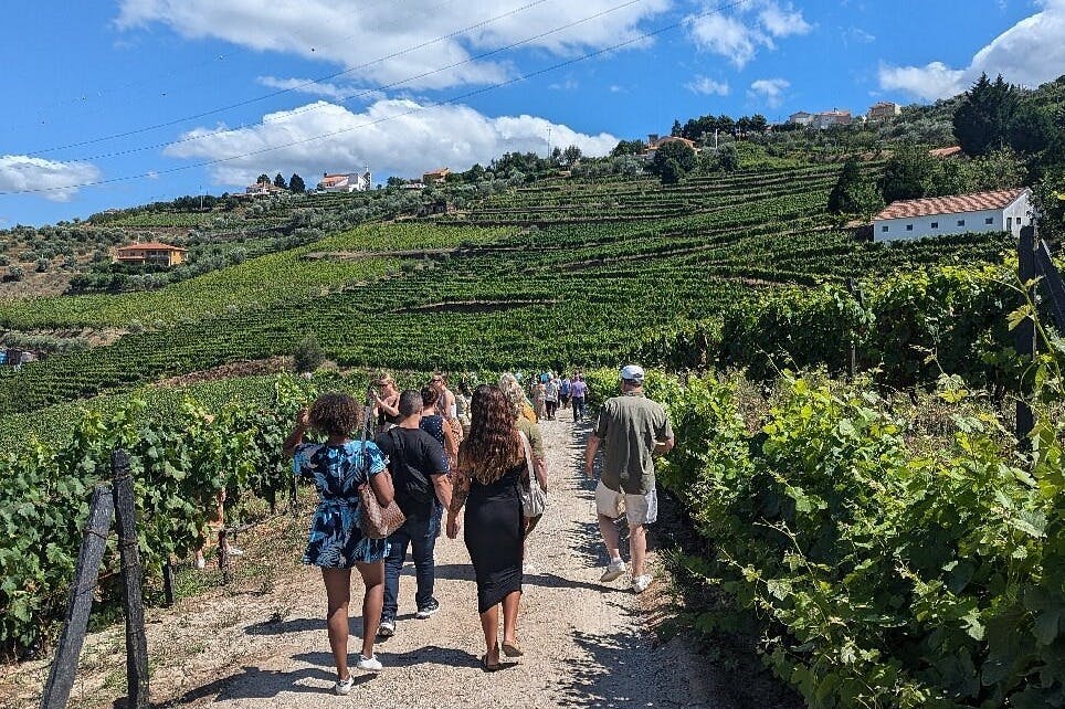 Udforsk det smukke landskab i Douro-dalen