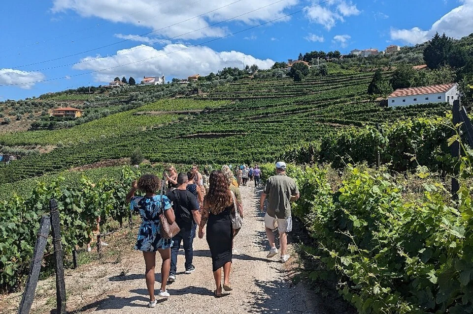 Explore the beautiful landscape of the Douro Valley