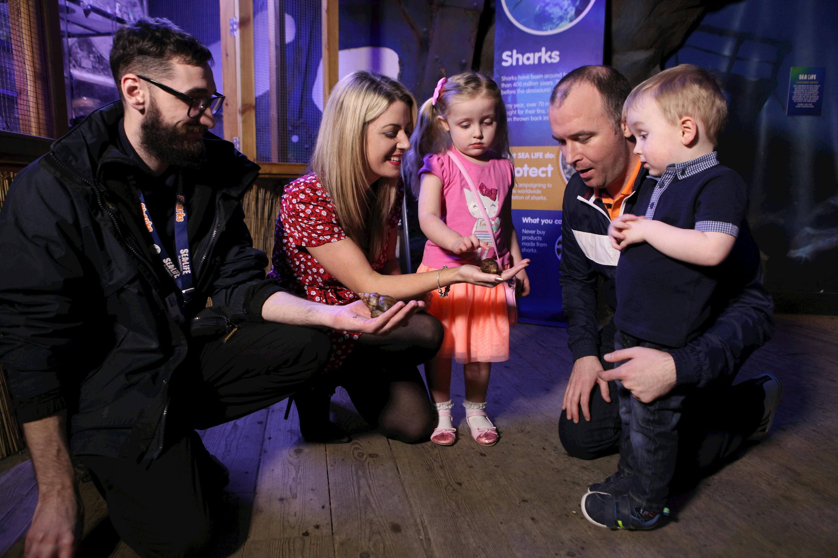Two adults showing two children sea creatures in an aquarium. Both children are observing the creatures curiously.