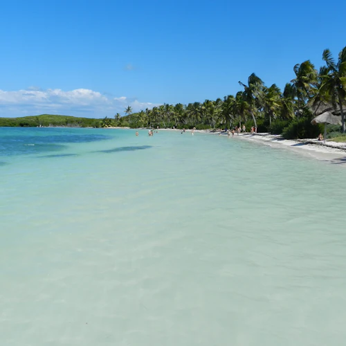 Isla Contoy & Isla Mujeres: Boat and Snorkel Tour from Cancún - Photo 9
