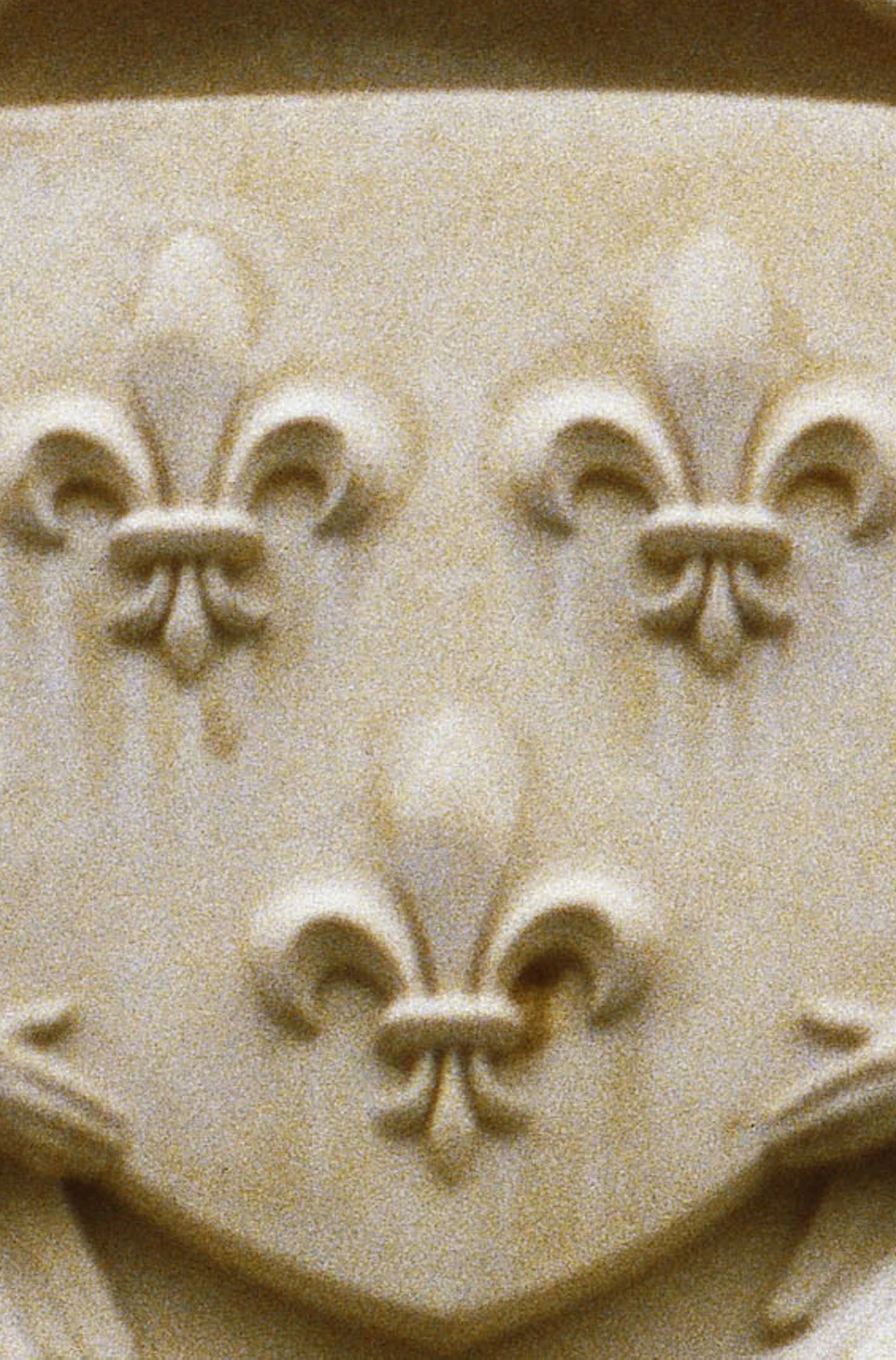 Photo of product