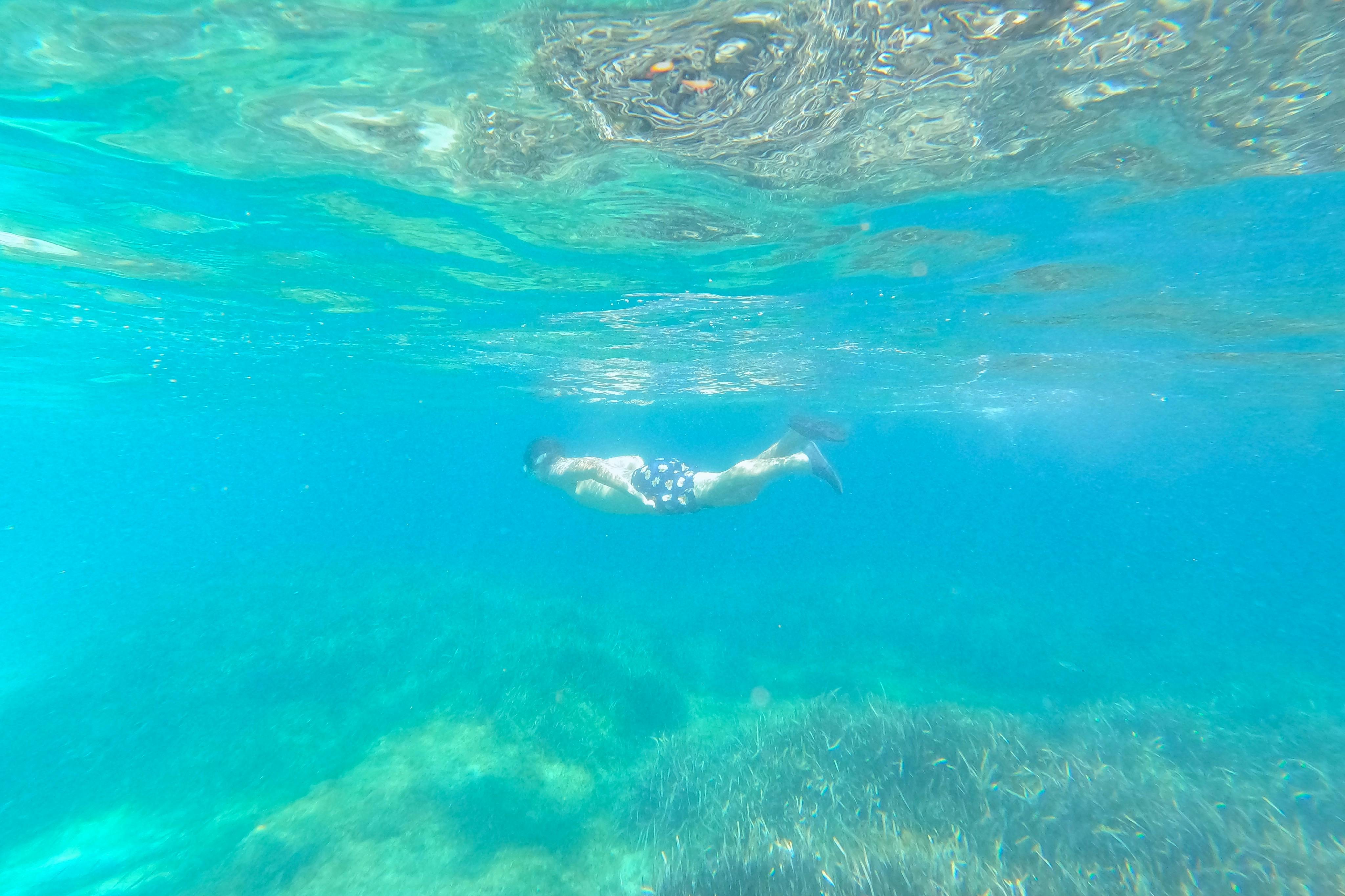 마요르카 남쪽 지역의 바다 동굴을 둘러보는 카약 투어. 수영, 스노클링, 간식을 즐길 수 있는 경유지입니다.