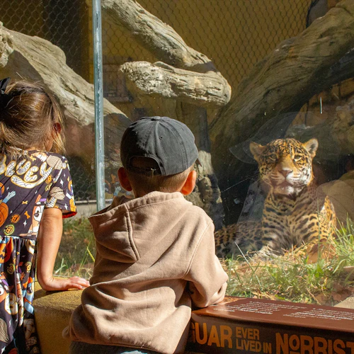 Elmwood Park Zoo: Entry Ticket - Photo 5