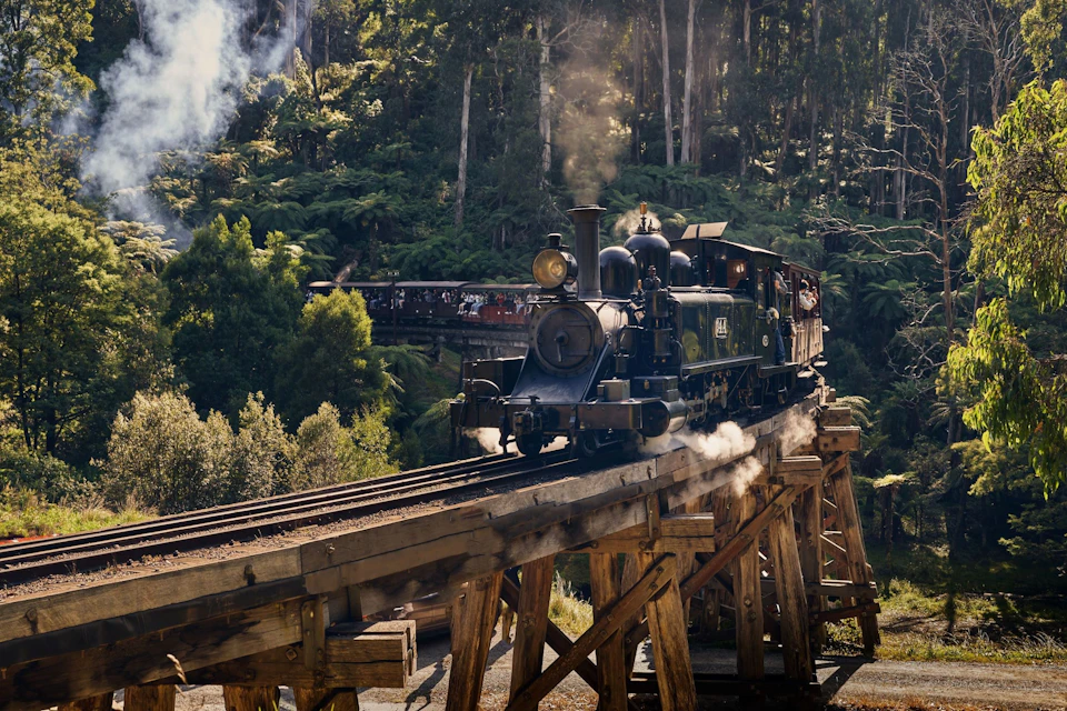 A vintage steam train crosses a wooden trestle bridge in a lush, forested area with smoke billowing from its chimney.