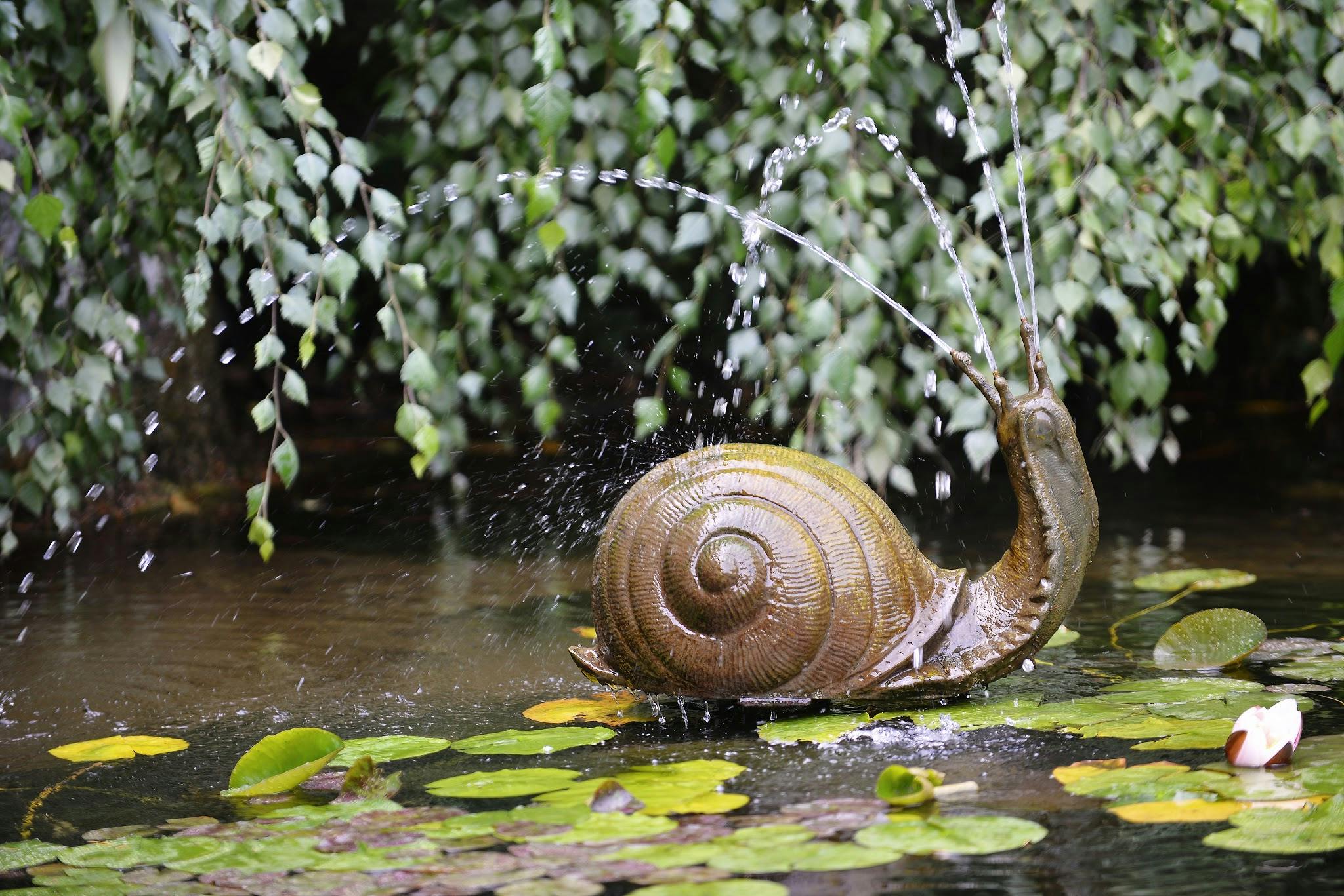 Χάλκινο συντριβάνι σαλιγκαριού σε λιμνούλα με νούφαρα και κρεμαστό φύλλωμα, που ψεκάζει νερό από τις κεραίες του.
