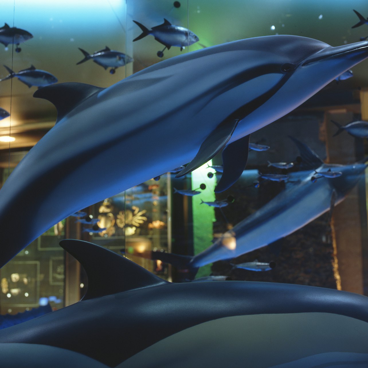 Grande Galerie de l'Évolution: Skip The Line Ticket in Paris – Tiqets