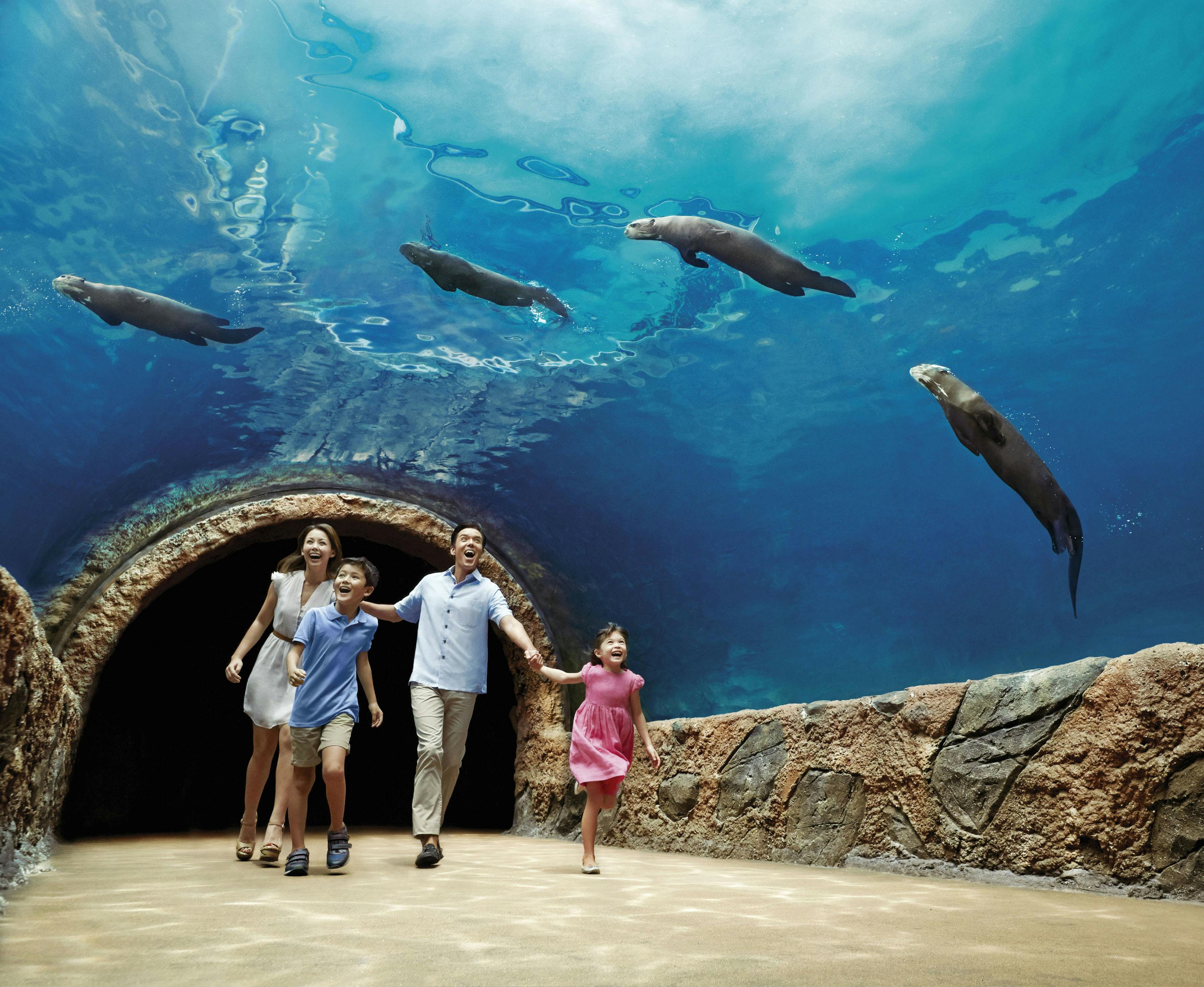 シンガポール リバーサファリ 入場 往復送迎