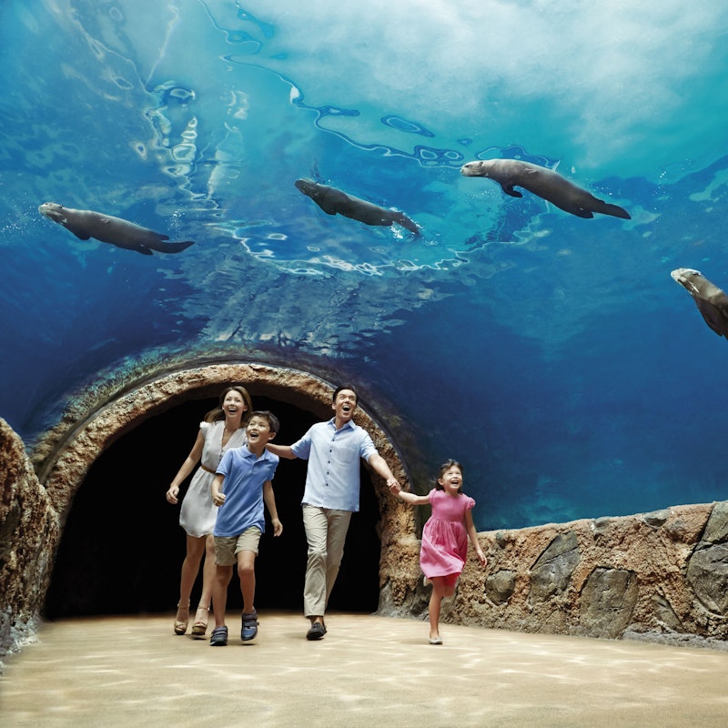 シンガポール リバーサファリ 入場 往復送迎 シンガポール リバーサファリ 入場 往復送迎