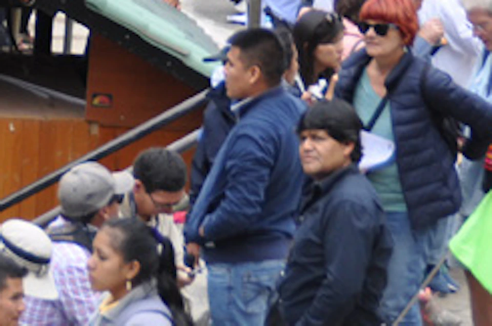 A crowd of people queuing near green buses on a narrow street surrounded by lush greenery.