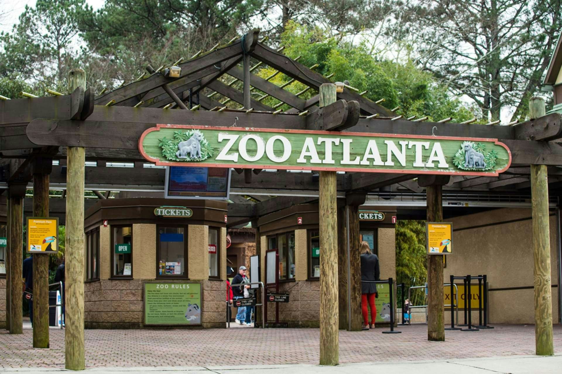 Zoo Atlanta + Zoo Atlanta: IllumiNights