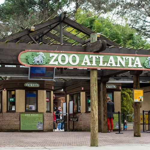 Zoo Atlanta: Entry Ticket