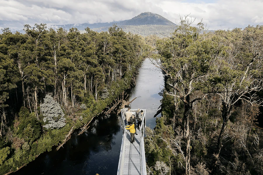 Entrada para el Tahune Airwalk en Hobart