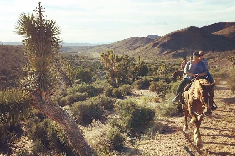벅앤브롱코 오프로드 승마 투어
