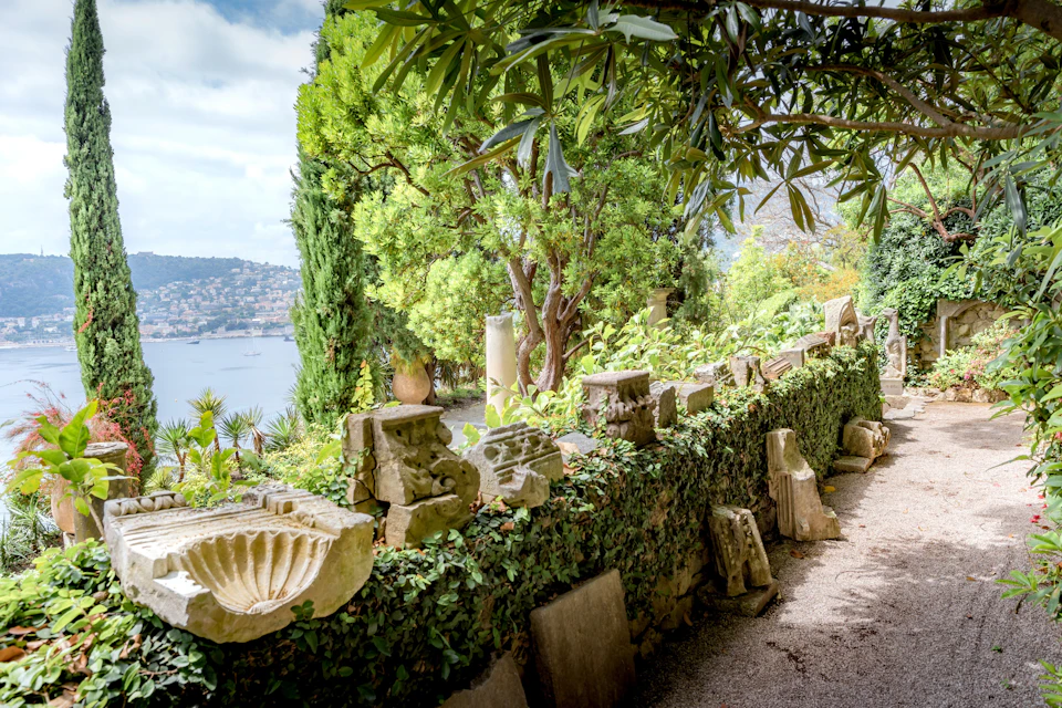 garden