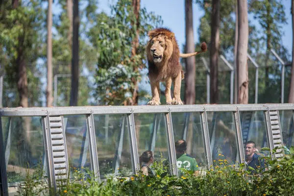 Zoo Santo Inácio: Skip The Line Ticket