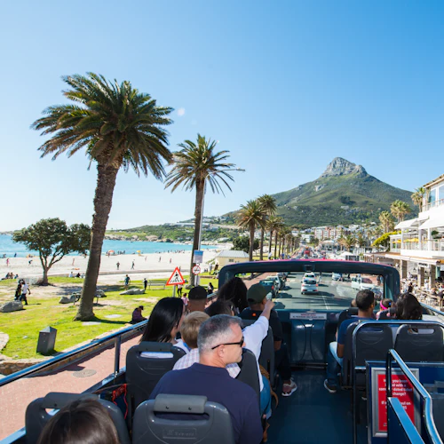 Offener Bus mit Touristen, die eine malerische Küstenstraße mit Palmen, Strand und Geschäften entlangfahren. Berg im Hintergrund.