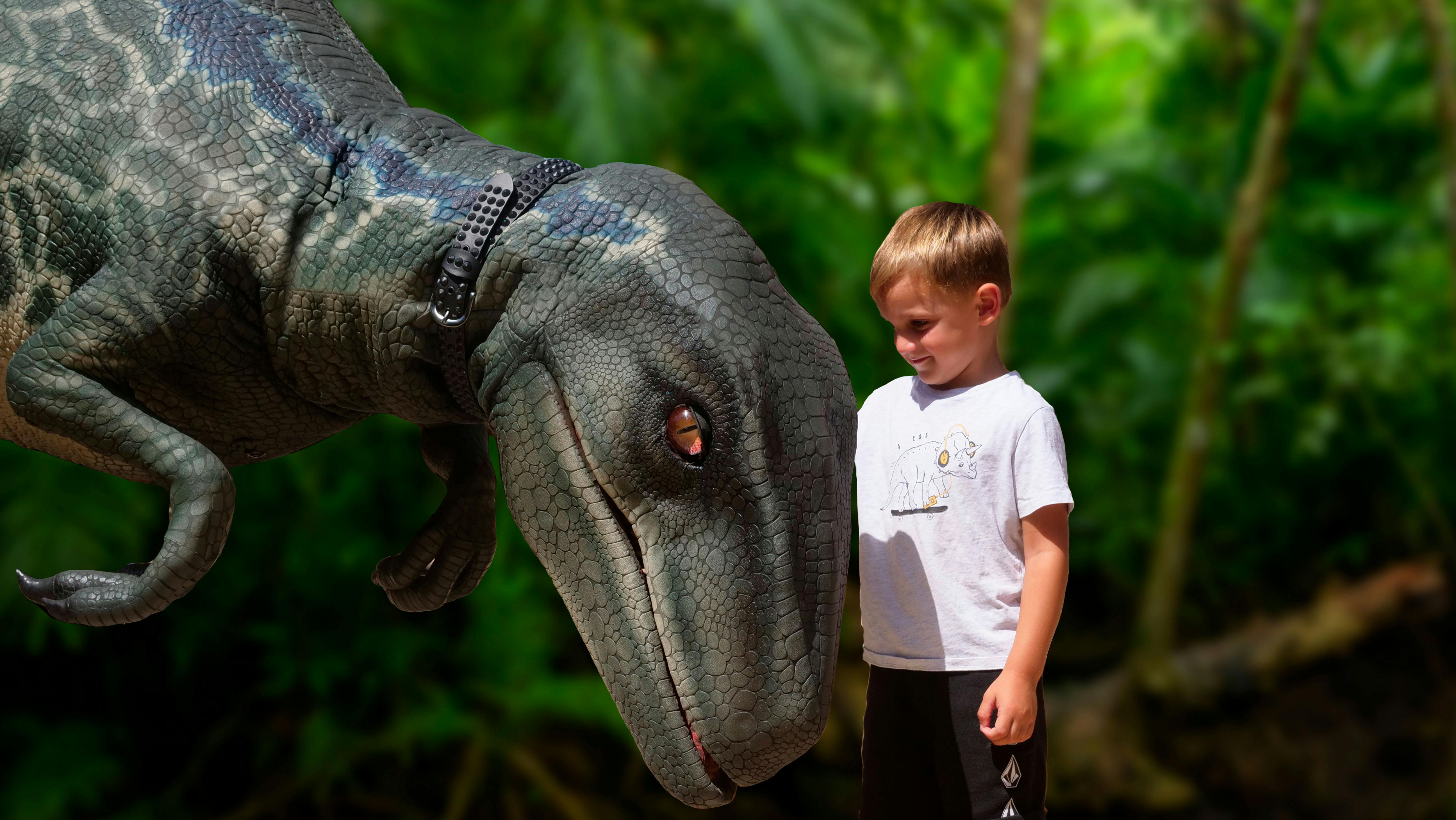 Dinosaurland