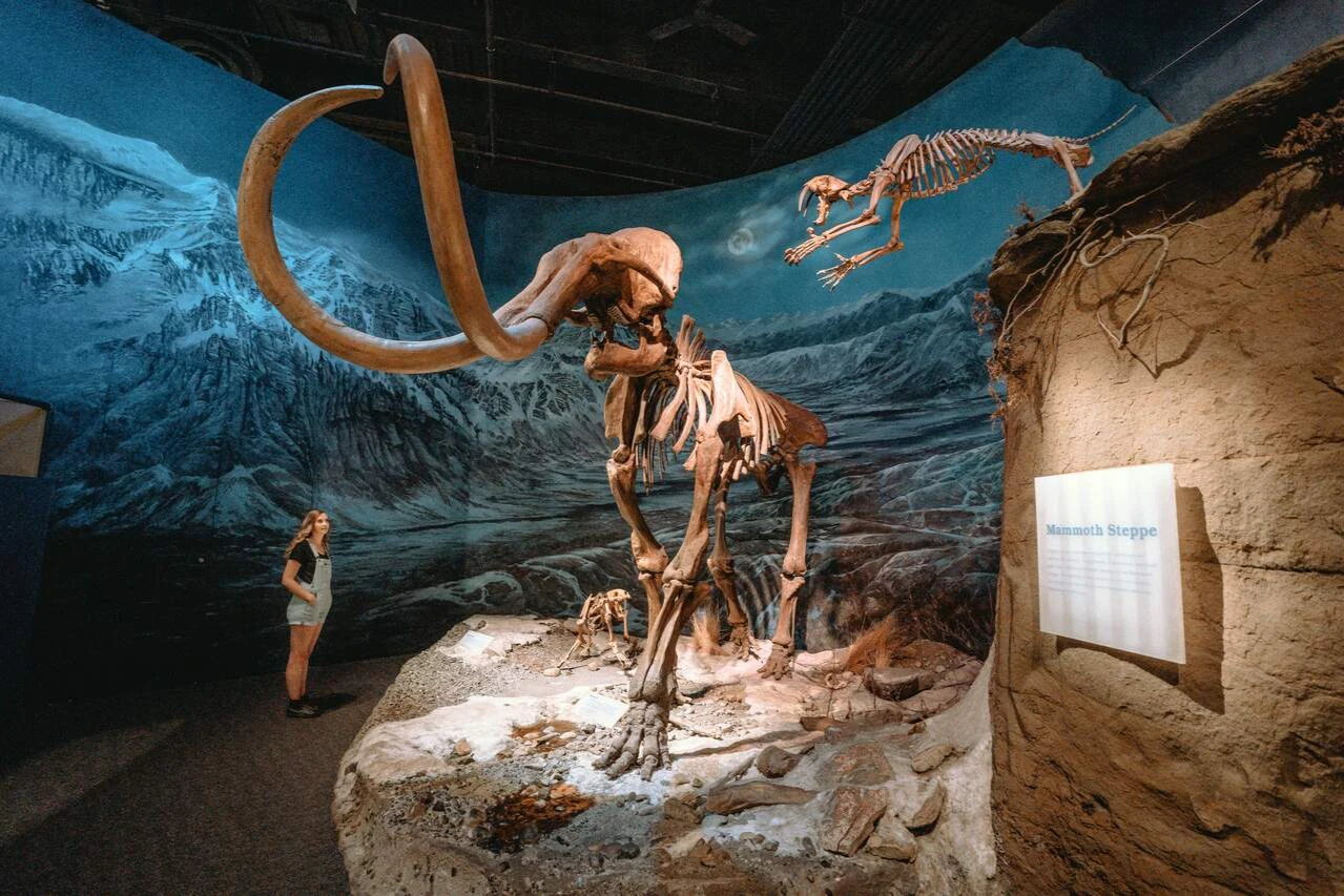 Horseshoe Canyon: Guided Day Tour from Calgary + Royal Tyrrell Museum Entry
