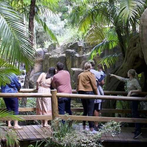 Tour Image