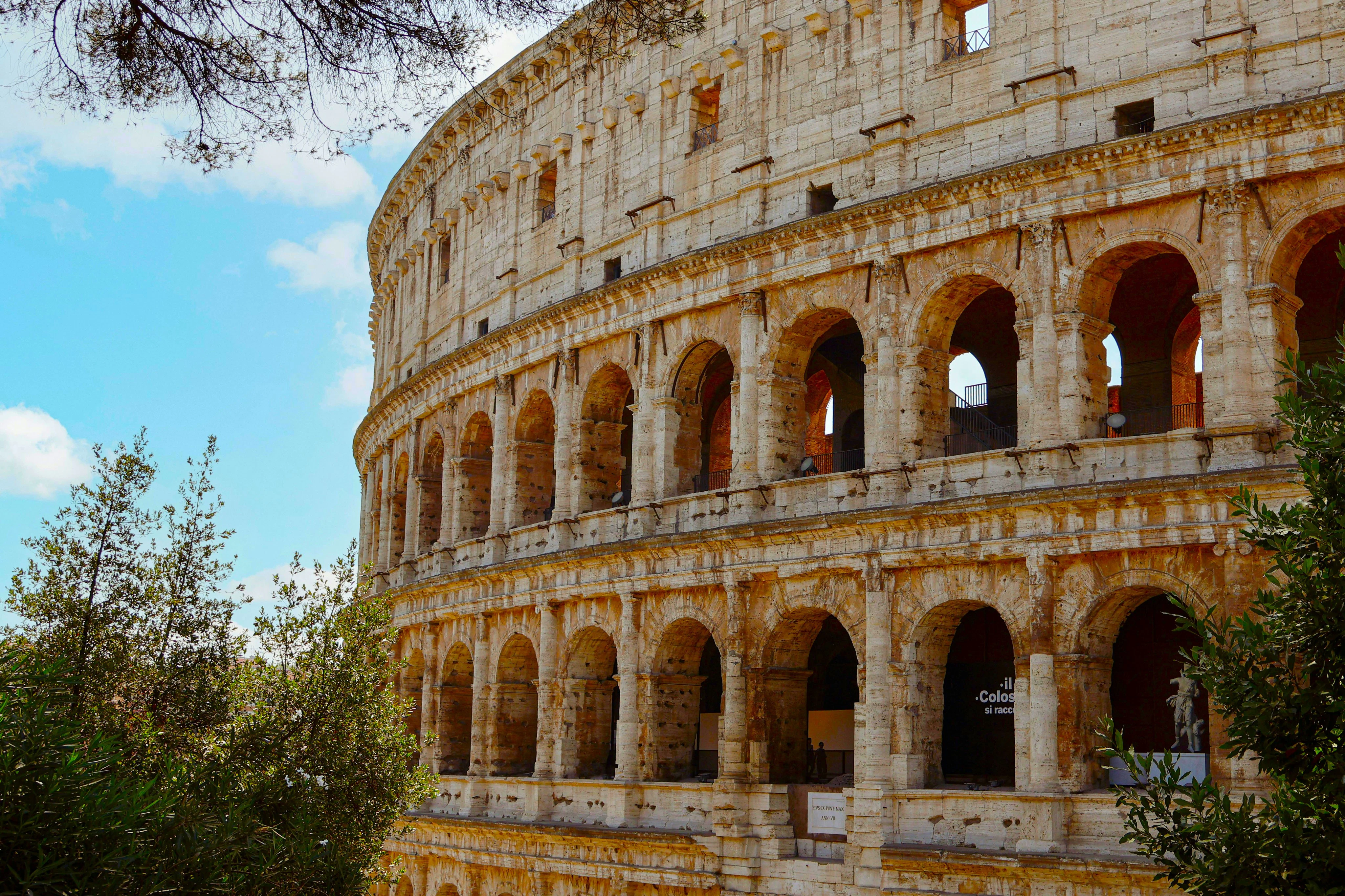 Colosseum, Roman Forum & Palatine Hill + Hop-on Hop-off Bus Tour