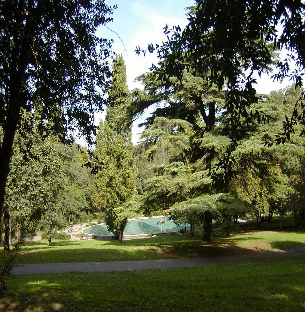 A serene park with tall trees, a grassy area, and a circular fountain in the background under a clear sky.