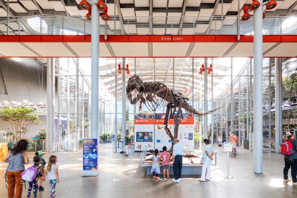 ピンバッジ カリフォルニア フォレスト アカデミー ピンバッジ カリフォルニア フォレスト アカデミー