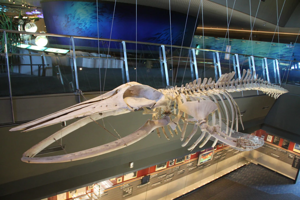 Lanyang Museum: Permanent Exhibition Ticket