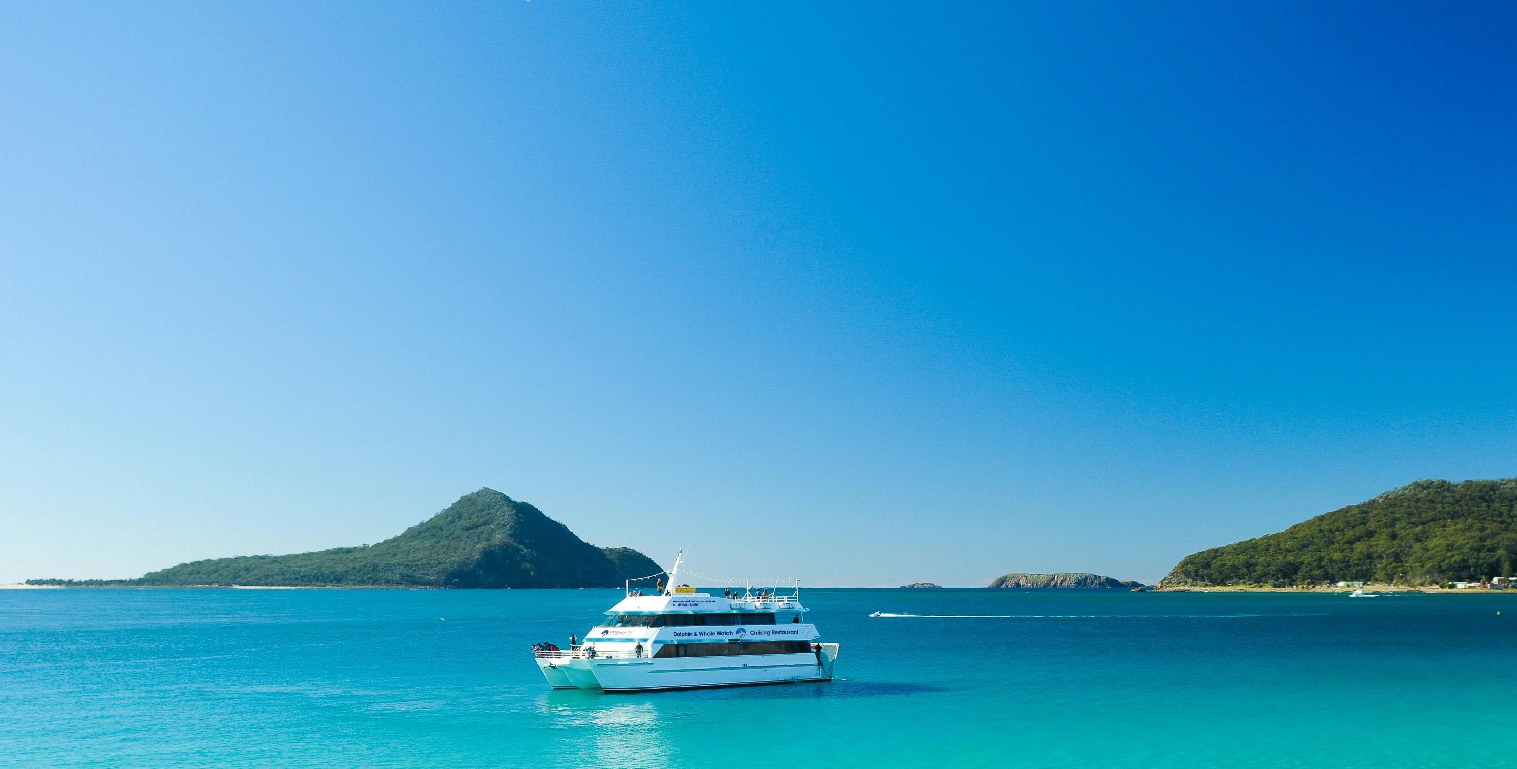 Port Stephens: Dolphin Discovery Cruise