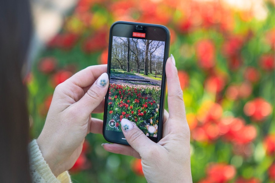 Amsterdam: Keukenhof Entry Ticket + Canal Cruise