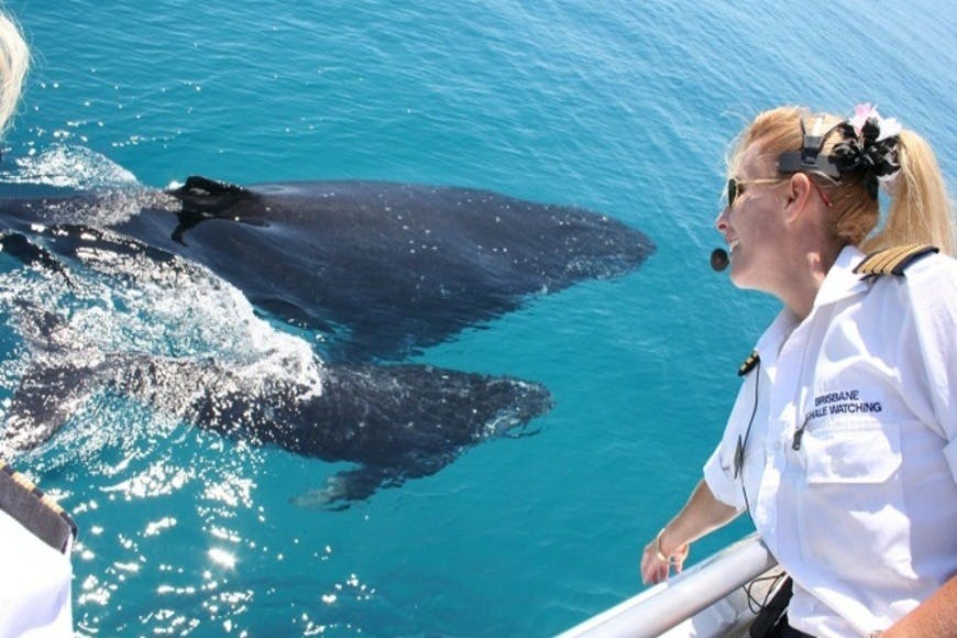 Une personne en chemise blanche sourit et regarde deux baleines qui nagent près d'un bateau dans une eau bleue claire.