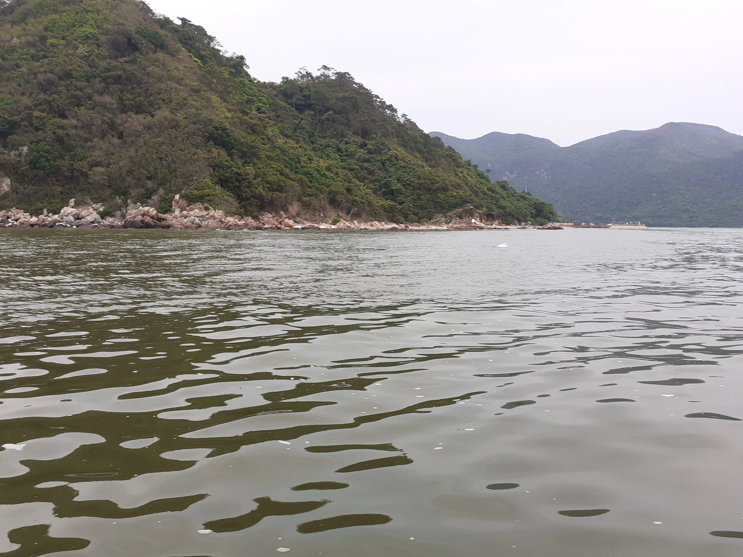 Tai O: 20-Minute Sightseeing Boat Trip