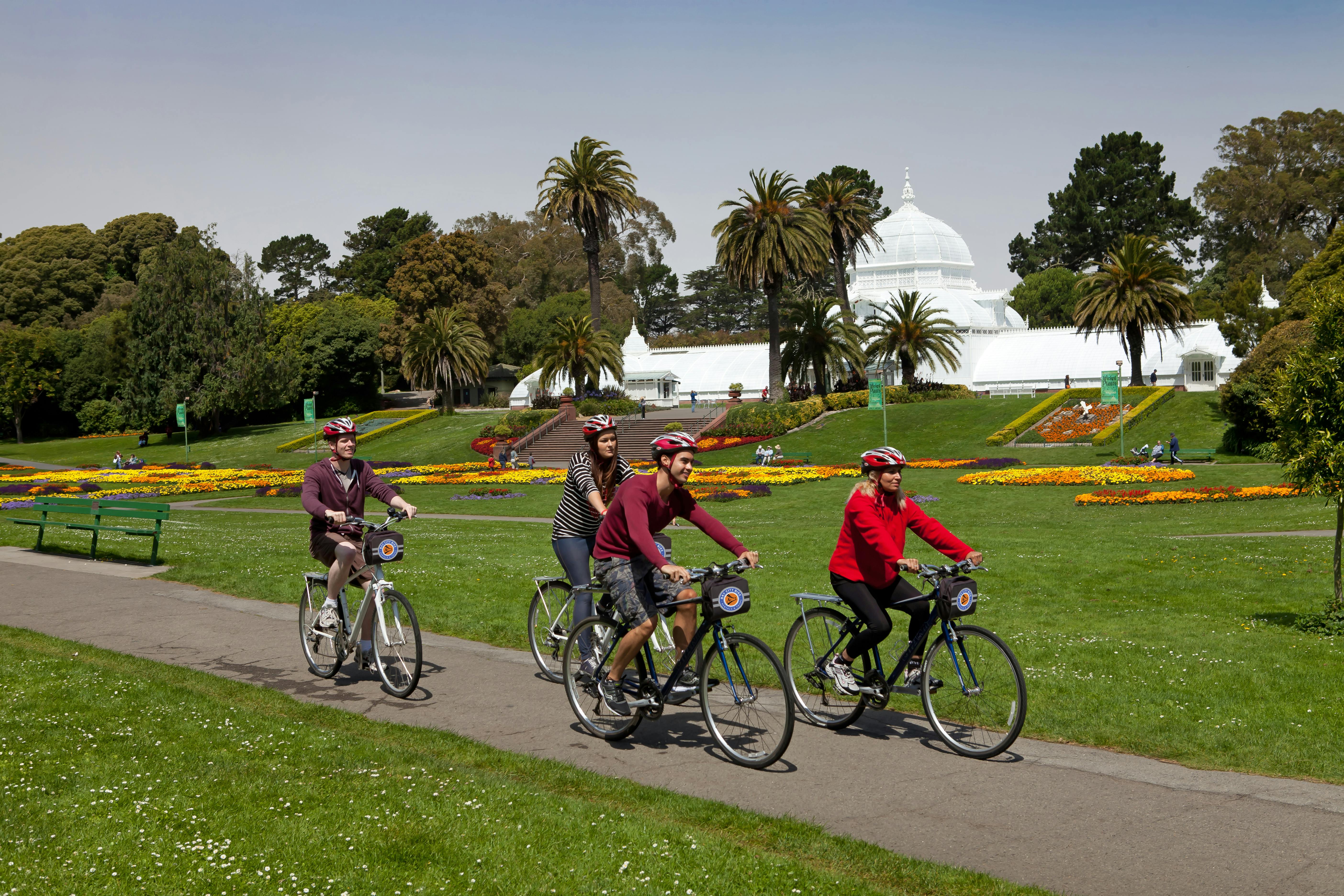 Four people biking on a path in a park with palm trees and a white conservatory in the background.